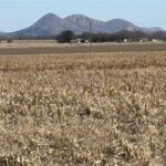 Property photo for land for sale in Jackson County Oklahoma