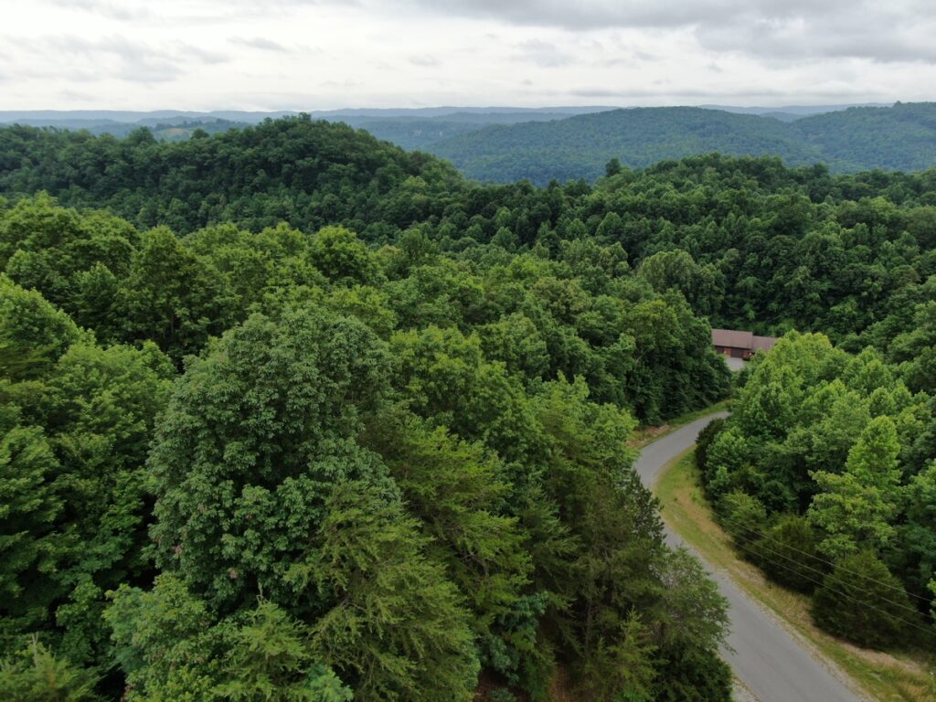 92f4e273-d884-454b-9928-4f544ed511c7.jpg