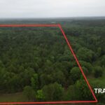 Property photo for land for sale in Cass County Texas