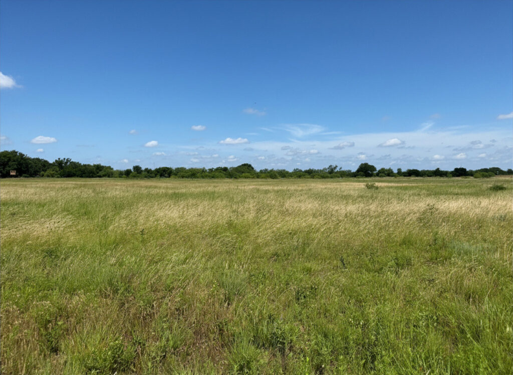 9487cf1b-f7b4-4eca-a6f0-5beeb46ee1a9.jpg