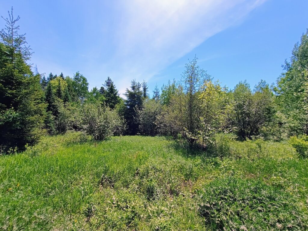Property photo for land for sale in Ashland County Wisconsin