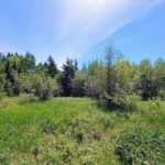Property photo for land for sale in Ashland County Wisconsin