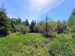 Property photo for land for sale in Ashland County Wisconsin
