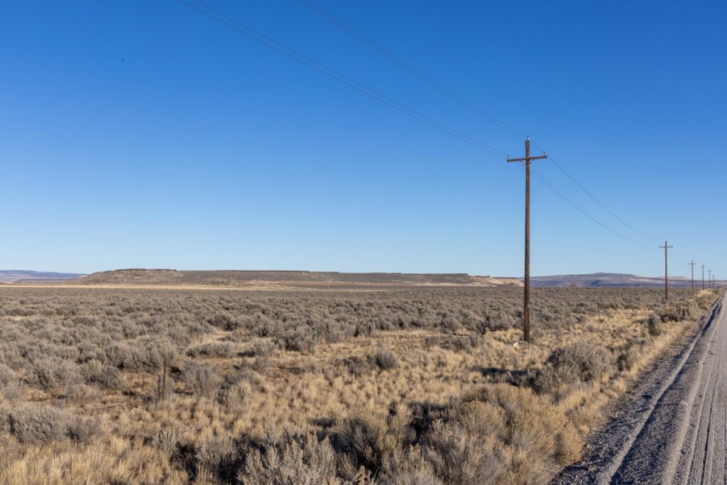 95a39233-aa9c-4392-a879-0e0fe3c3f586.jpg
