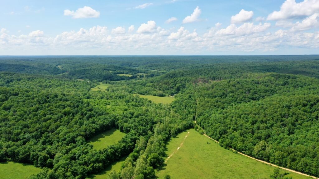 Property photo for land for sale in Shannon County Missouri