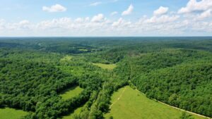 Property photo for land for sale in Shannon County Missouri
