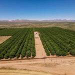 Property photo for land for sale in Cochise County Arizona