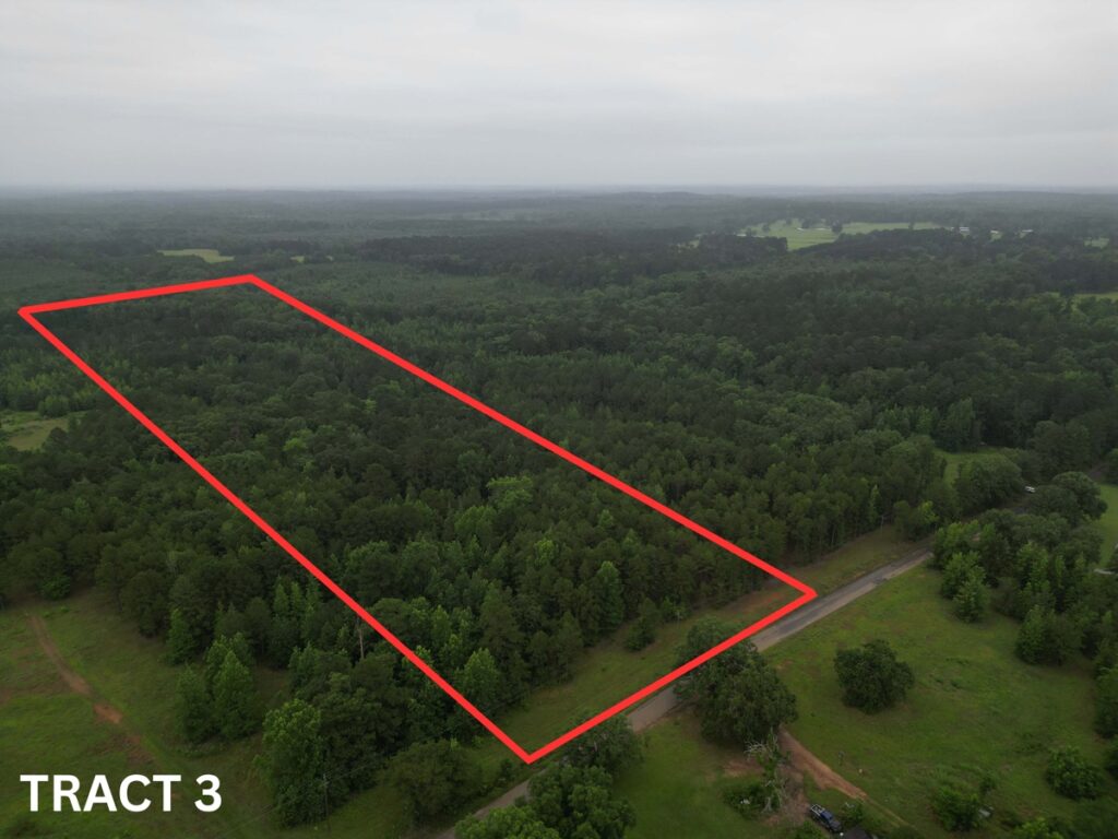 9af9783c-4f17-4bf0-a2d0-b81355c7c858.jpg