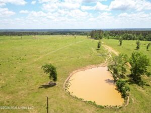 Property photo for land for sale in Lincoln County Mississippi