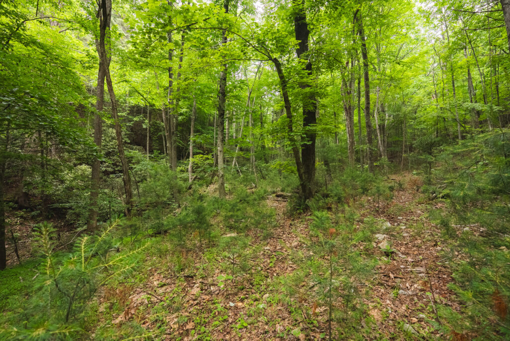 9b7a085e-3391-4bf0-8712-ebacaa44e5d9.jpg