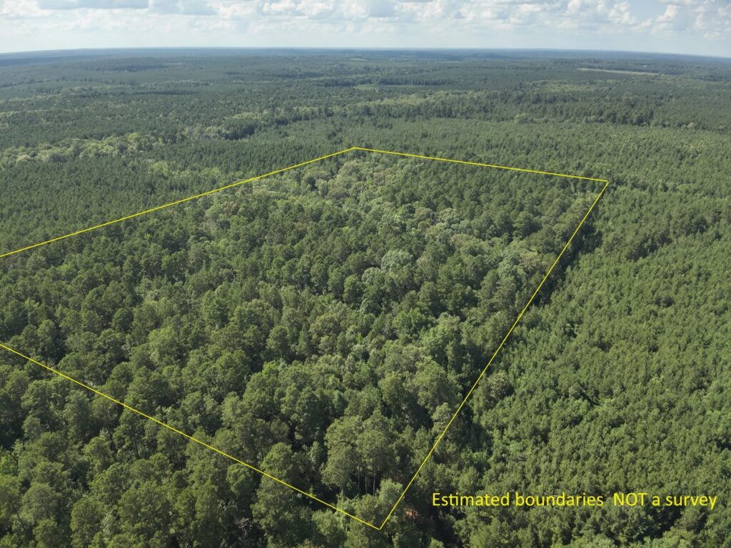 Property photo for land for sale in Nevada County Arkansas