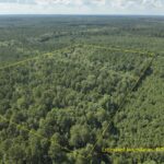 Property photo for land for sale in Nevada County Arkansas