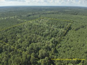 Property photo for land for sale in Nevada County Arkansas