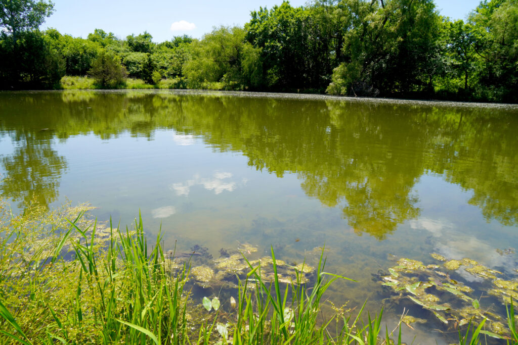 Property photo for land for sale in Lincoln County Oklahoma