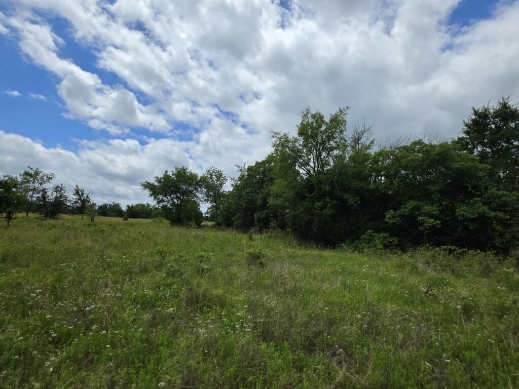 9e702fb9-35d5-4e74-966b-1053aab47969.jpg