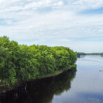 Property photo for land for sale in Penobscot County Maine