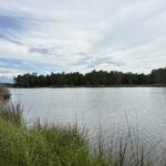 Property photo for land for sale in Beaufort County North Carolina