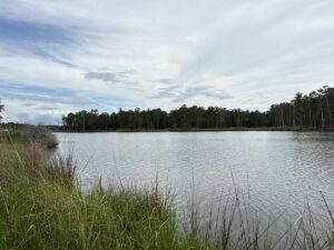 Property photo for land for sale in Beaufort County North Carolina