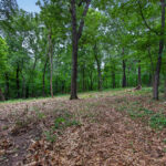 Property photo for land for sale in Mayes County Oklahoma