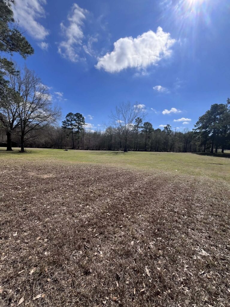 Property photo for land for sale in Orange County Texas