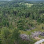 Property photo for land for sale in Fulton County Arkansas