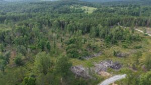 Property photo for land for sale in Fulton County Arkansas