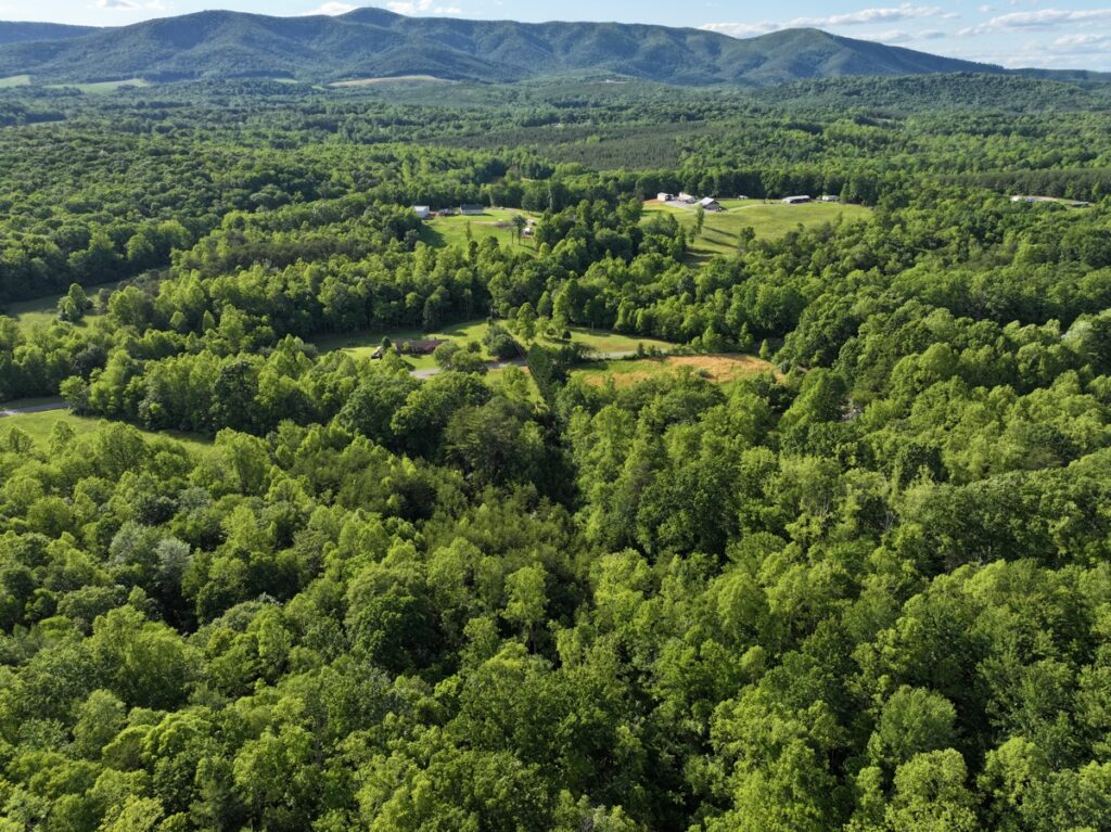 Property photo for land for sale in Patrick County Virginia