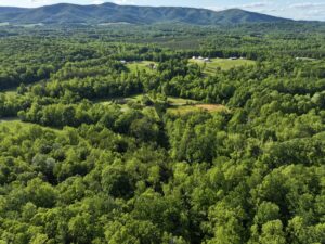 Property photo for land for sale in Patrick County Virginia