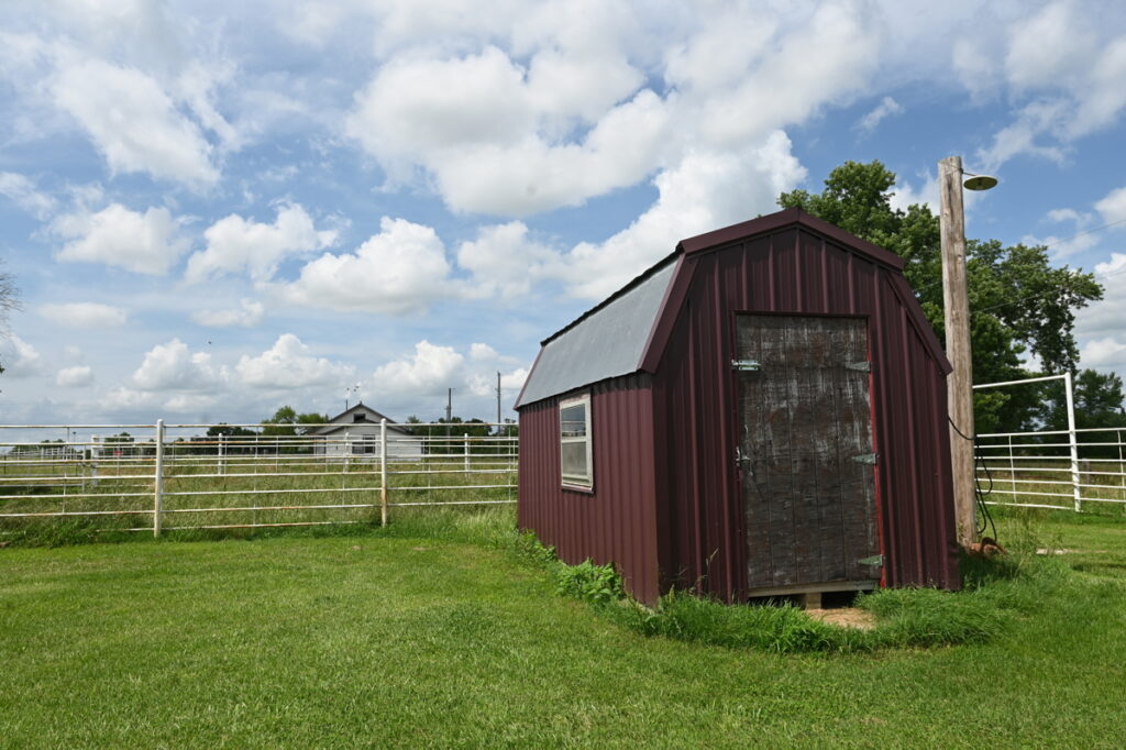 a41f30c4-6d5f-4101-8304-fa49574e7030.jpg