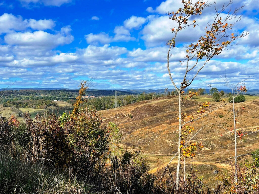 a44655c1-a7e6-44bb-bc71-9235a0a27aec.jpg