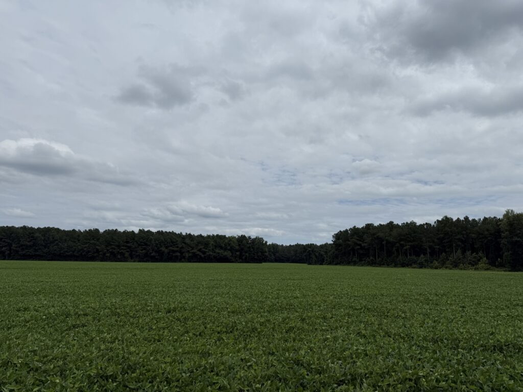 a45e05c4-4aab-4198-9945-f0fa9d6f0c5d.jpg