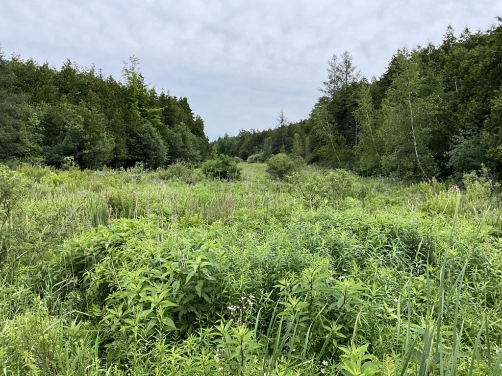 Property photo for land for sale in St. Lawrence County New York