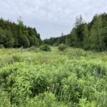 Property photo for land for sale in St. Lawrence County New York