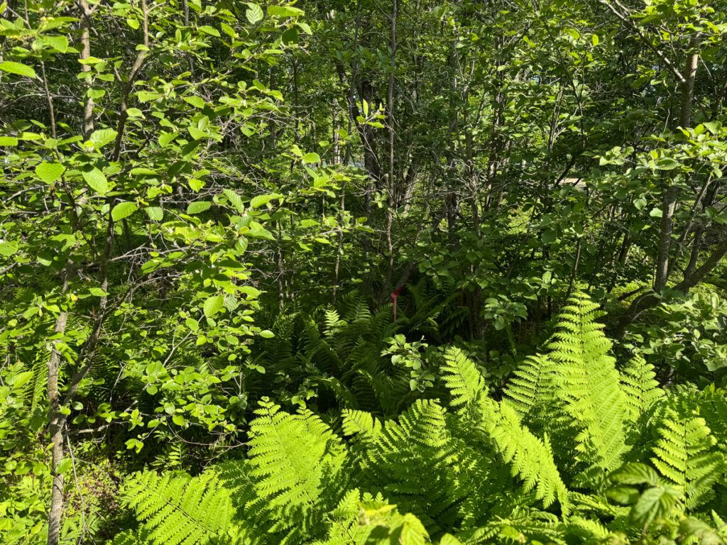 a5f8a78b-67b7-4929-8d65-e242e9df267f.jpg