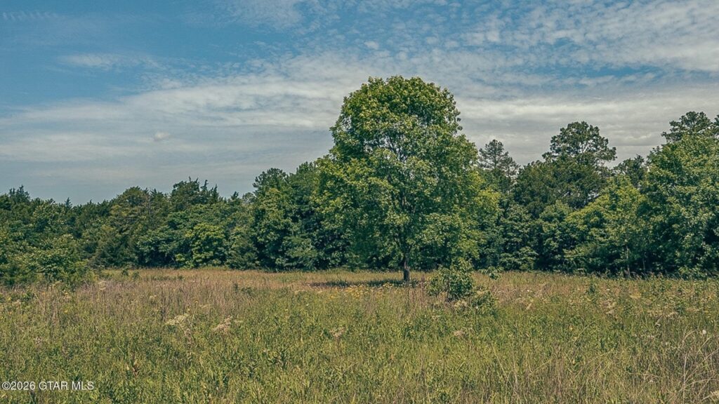 a65b9f3c-e6c8-4502-ab31-170e45f259f8.jpg