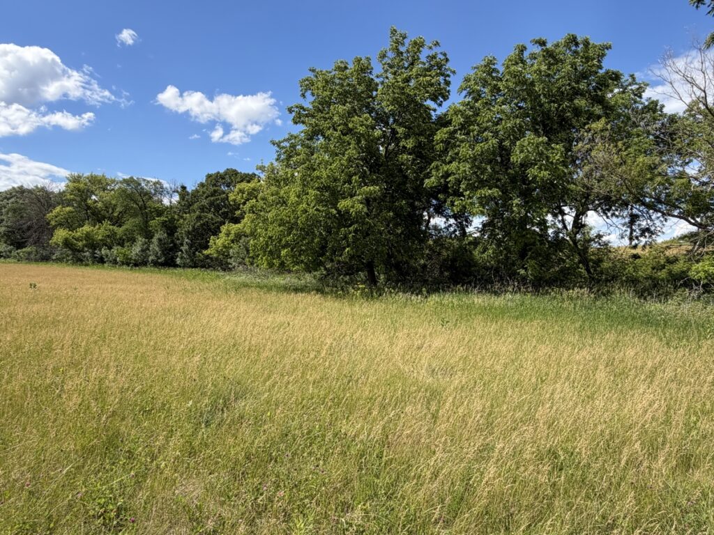 a79e91b4-d442-4824-b8b9-42462504cec5.jpg