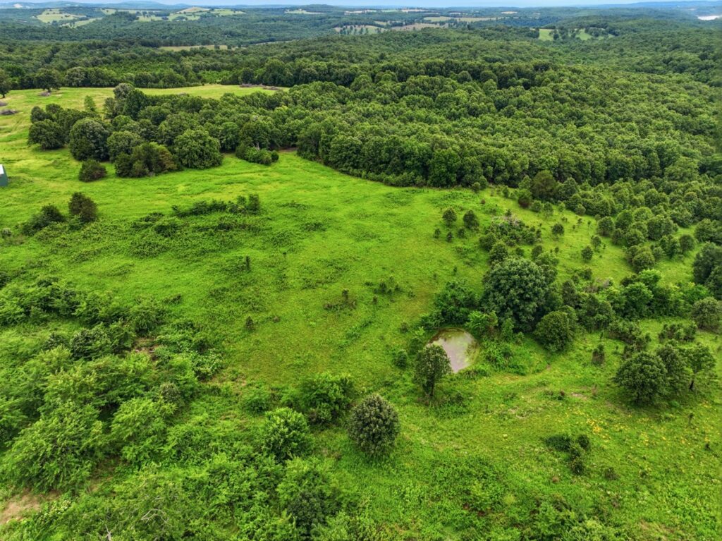 Property photo for land for sale in Ozark County Missouri