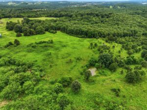 Property photo for land for sale in Ozark County Missouri