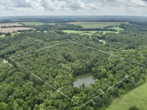 Property photo for land for sale in Coffee County Alabama
