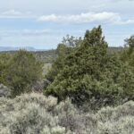 Property photo for land for sale in Rio Arriba County New Mexico