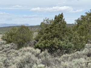Property photo for land for sale in Rio Arriba County New Mexico