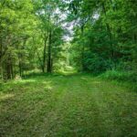 Property photo for land for sale in Searcy County Arkansas