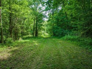 Property photo for land for sale in Searcy County Arkansas
