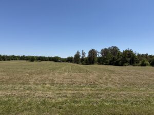 Property photo for land for sale in Hardin County Tennessee