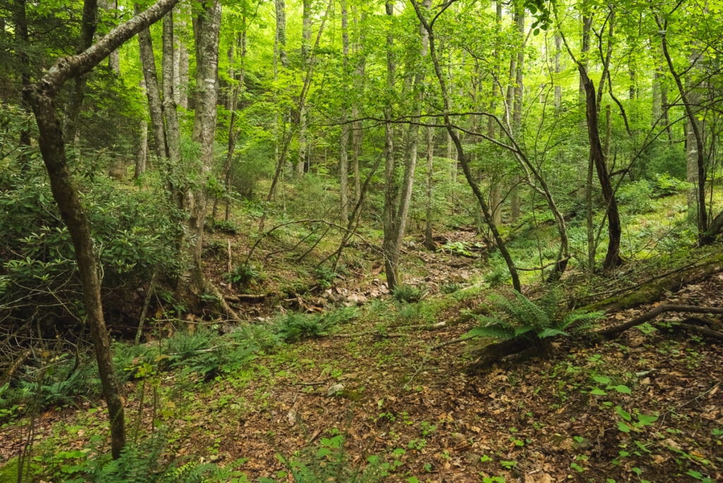 ab263076-a6a2-44b3-818f-40455316a974.jpg