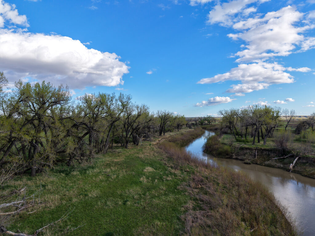 ab8bbca8-a50c-474f-b705-264b92055c06.jpg