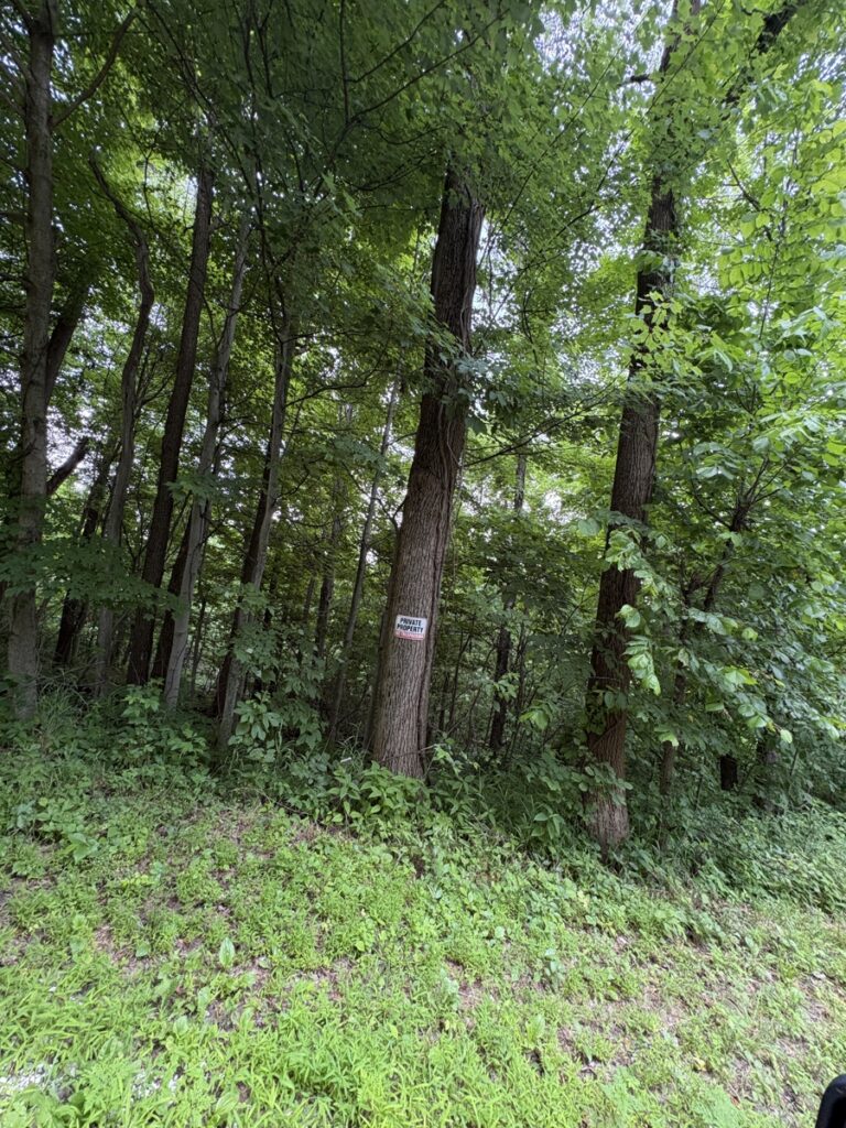 b0b89215-007c-4b9f-a48b-b55907995250.jpg
