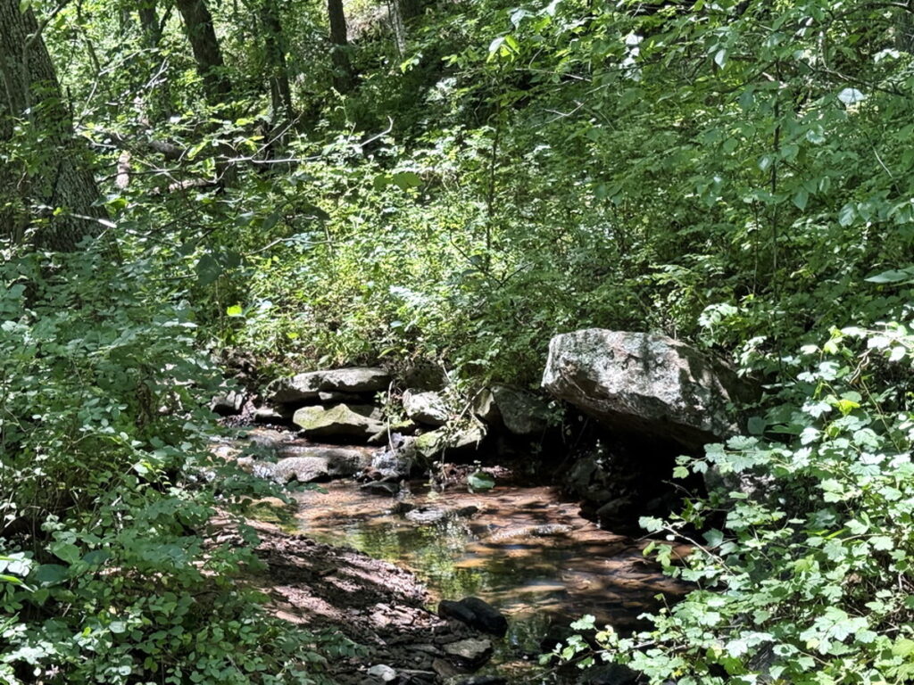 b0bc94af-5984-48f1-aff6-c876f27a5728.jpg