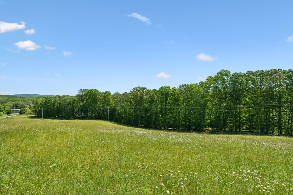 b0be6863-a426-4400-ba11-43432143fcc4.jpg