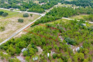 Property photo for land for sale in Levy County Florida